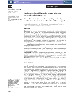 Hemin-coupled iron(III)-hydroxide nanoparticles show increased