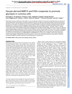 Oocyte-derived BMP15 and FGFs cooperate to promote glycolysis in