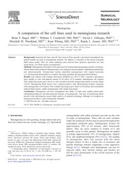 A comparison of the cell lines used in meningioma research