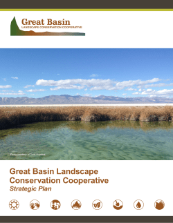 Strategic Plan - Landscape Conservation Cooperative Network