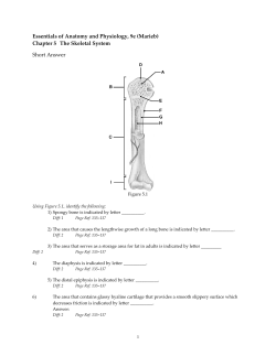 Essentials of Anatomy and Physiology, 9e (Marieb)