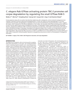C. elegans Rab GTPase activating protein TBC