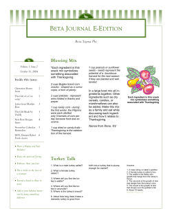 October 31 2004 - The Beta Journal