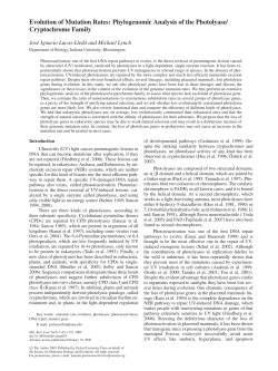Evolution of Mutation Rates: Phylogenomic Analysis of the Photolyase