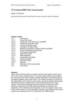 Functional MRI of the visual system.