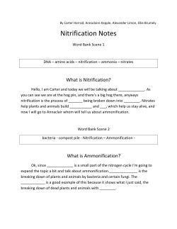 Nitrification Notes
