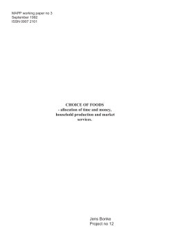 CHOICE OF FOODS - allocation of time and money, household
