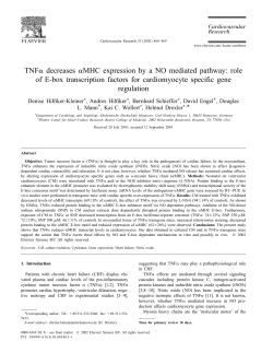 TNFa decreases aMHC expression by a NO mediated pathway: role