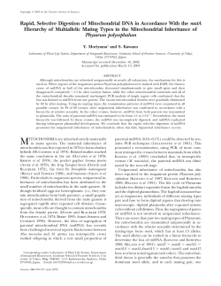 Rapid, Selective Digestion of Mitochondrial DNA in