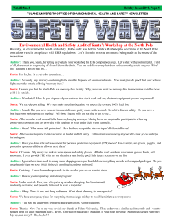 Environmental Health and Safety Audit of Santa`s