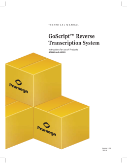 GoScript&trade; Reverse Transcription System