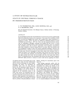 a study of extracellular space in central nervous tissue by freeze