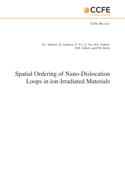 Spatial Ordering of Nano-Dislocation Loops in ion-Irradiated