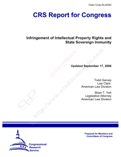 Infringement of Intellectual Property Rights and State