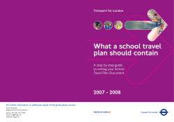 What a School Travel Plan should contain
