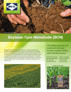 Soybean Cyst Nematode (SCN)