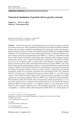 Numerical simulation of particle