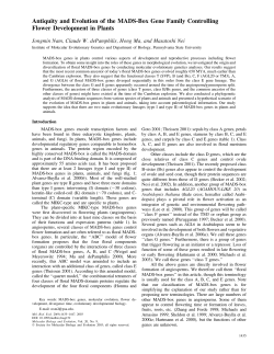 Antiquity and Evolution of the MADS