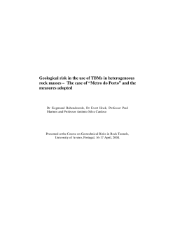 Geological risk in the use of TBMs in heterogeneous rock masses