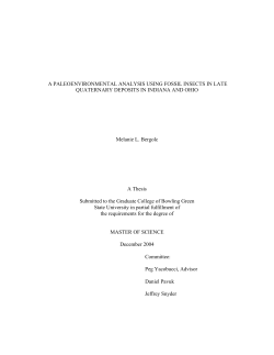 A PALEOENVIRONMENTAL ANALYSIS USING FOSSIL INSECTS