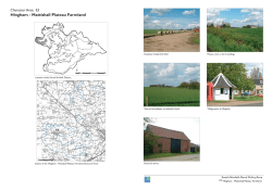 Mattishal Plateau Farmland