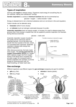 8C Breathing and Respiration