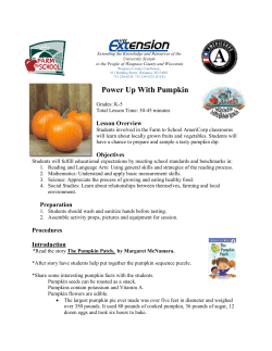 Power Up With Pumpkin