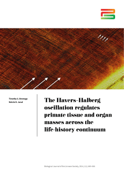 The HaversHalberg oscillation regulates primate tissue and organ