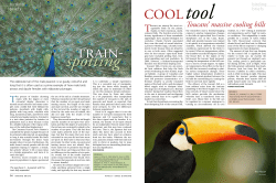 Toucans` massive cooling bills