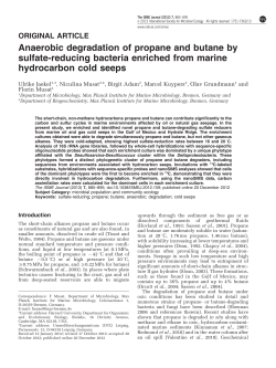 Anaerobic degradation of propane and butane by sulfate