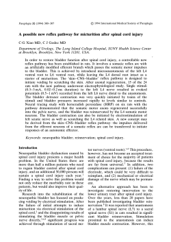 A possible new reflex pathway for micturition after spinal