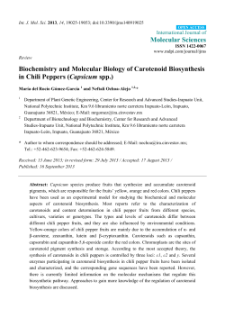 Full-Text PDF