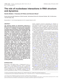 The role of nucleobase interactions in RNA