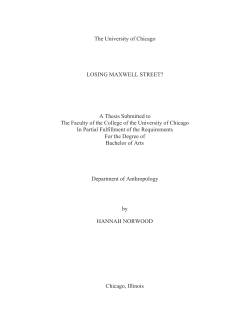 The University of Chicago LOSING MAXWELL STREET? A Thesis