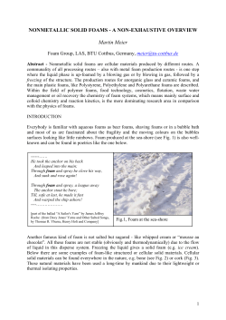 NONMETALLIC SOLID FOAMS - A NON-EXHAUSTIVE