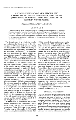 proscina vinogradovi, new species, and cheloscina antennula, new
