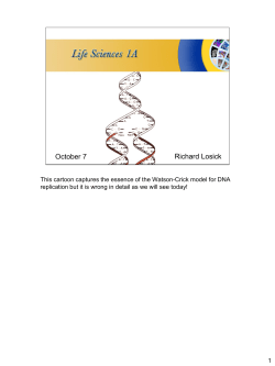 This cartoon captures the essence of the Watson