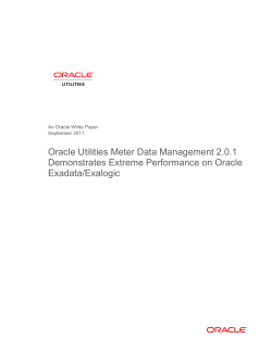Oracle Utilities Meter Data Management 2.0.1 Demonstrates
