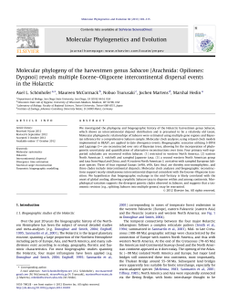 Molecular phylogeny of the harvestmen genus Sabacon