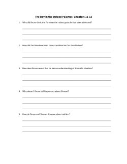 The Boy in the Striped Pajamas: Chapters 11-13