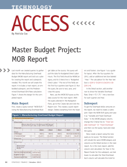 Master Budget Project: MOB Report