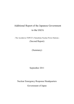 Additional Report of the Japanese Government