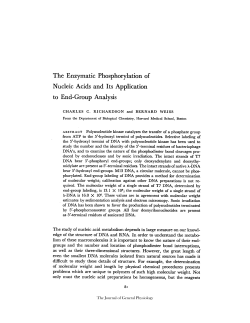 The Enzymatic Phosphorylation of Nucleic Acids