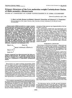 Primary Structure of the Low-molecular