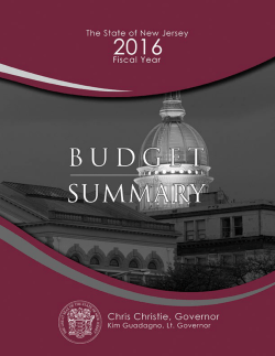 Budget Summary (2M PDF)
