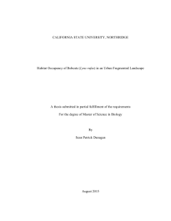 in an Urban Fragmented Landscape A thesis subm