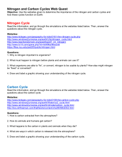 Nitrogen and Carbon Cycles Web Quest