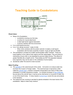 Teaching Guide to Exoskeletons