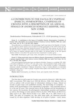 A CONTRIBUTION TO THE FAUNA OF CYNIPIDAE (INSECTA