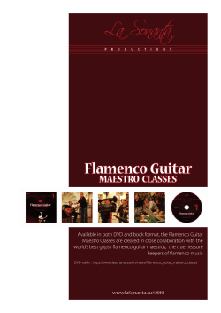 La Sonanta - Flamenco Guitar Maestro Classes